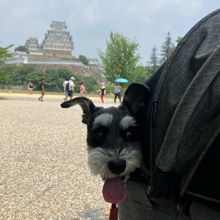 3d1eb6a0 ac0c 45ef b4d5 a80ef1904257 1751612986376