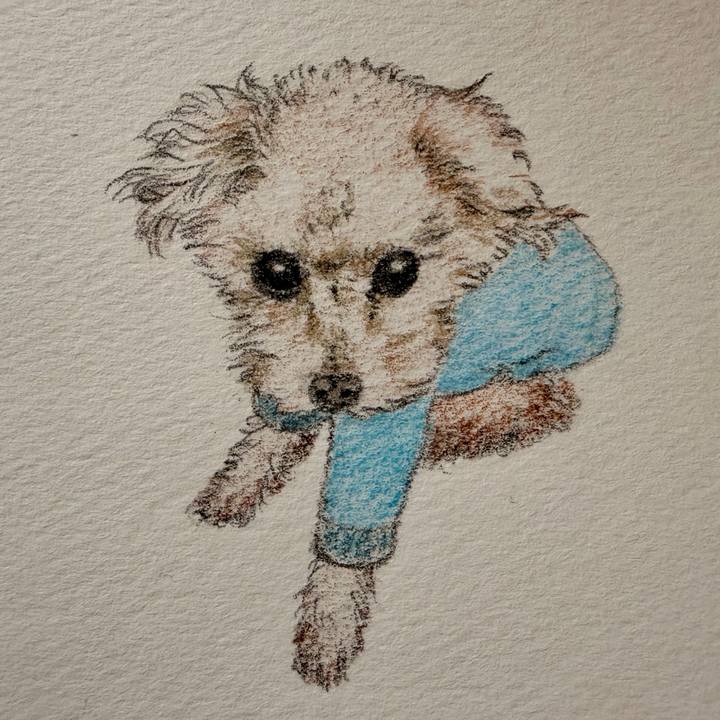 3d1ec0ac eaa2 44ef bd52 7d6cf2697e79 1769347005036