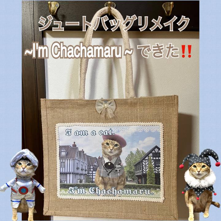 3d1eda77 9f93 4c22 ac7f e15d41a89e16 1686782137286