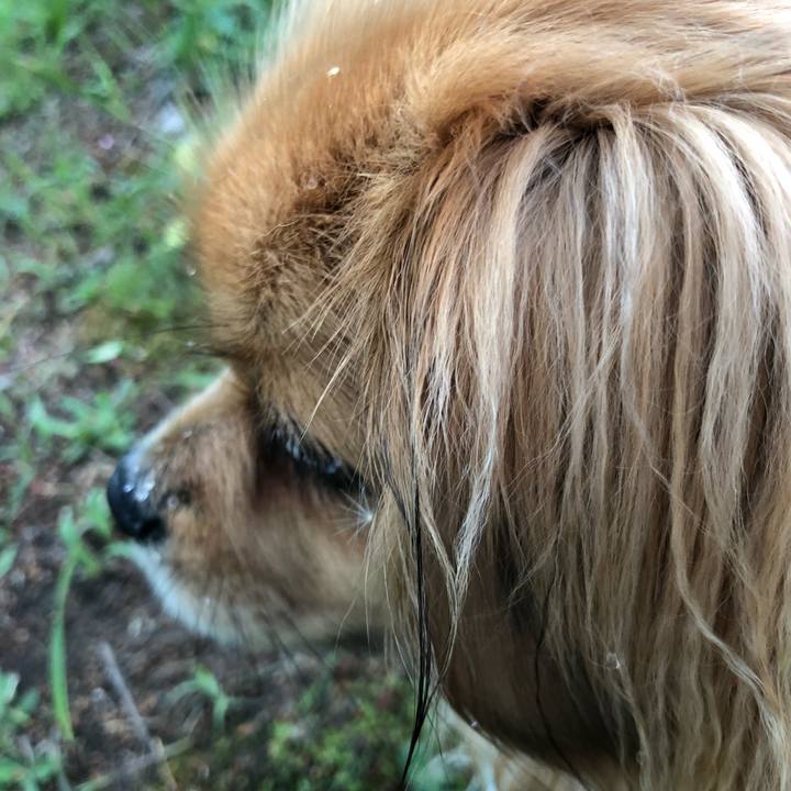 3d1f31a4 574a 44c6 9fa6 2dc09c829901 1556227819159