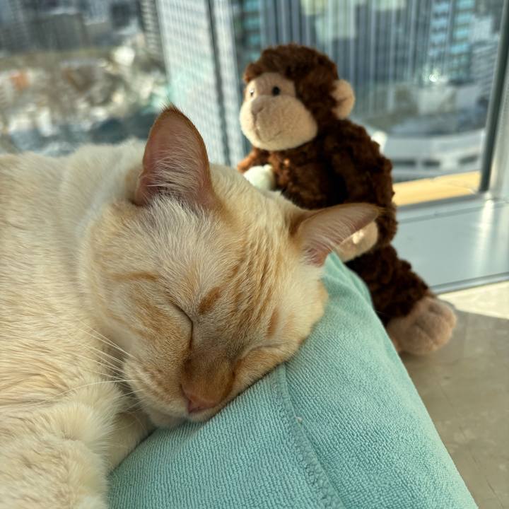 3d1f80a1 d092 4479 893b 32cb00b05132 1772259629968