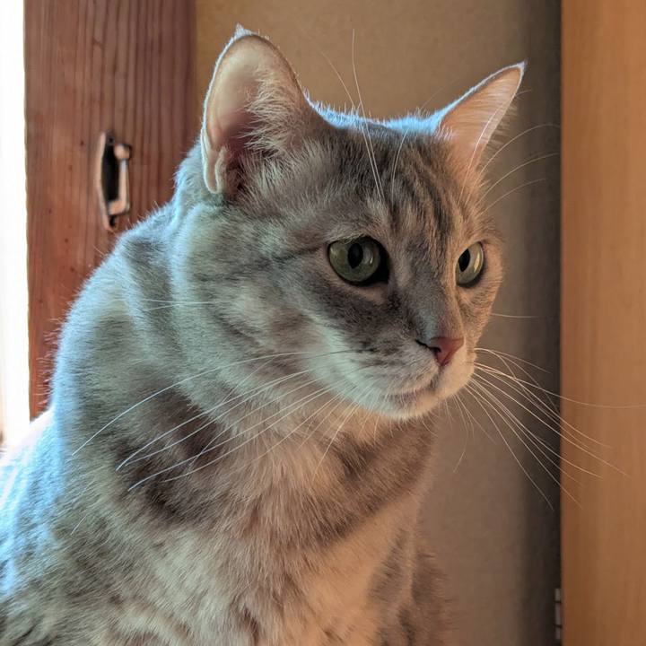 3d1fa818 c808 46e7 b9ab d4d3b71b5a46 1744353651382