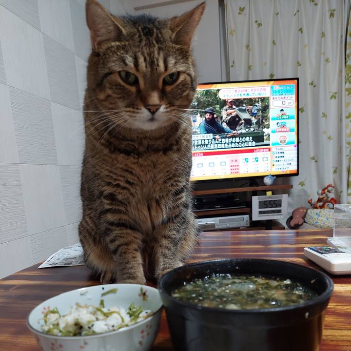 3d1fb146 3298 4db2 8366 17340b467fac 1631841282507