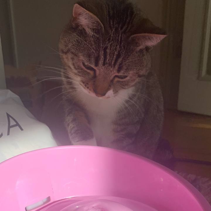 3d1fce35 5461 4dea ae2c c2a1b4e6da4f 1582323412853