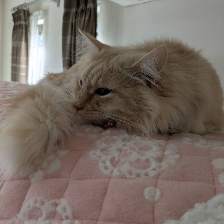 3d1ff76f 3959 461d 834d d444b339937a 1769391948232