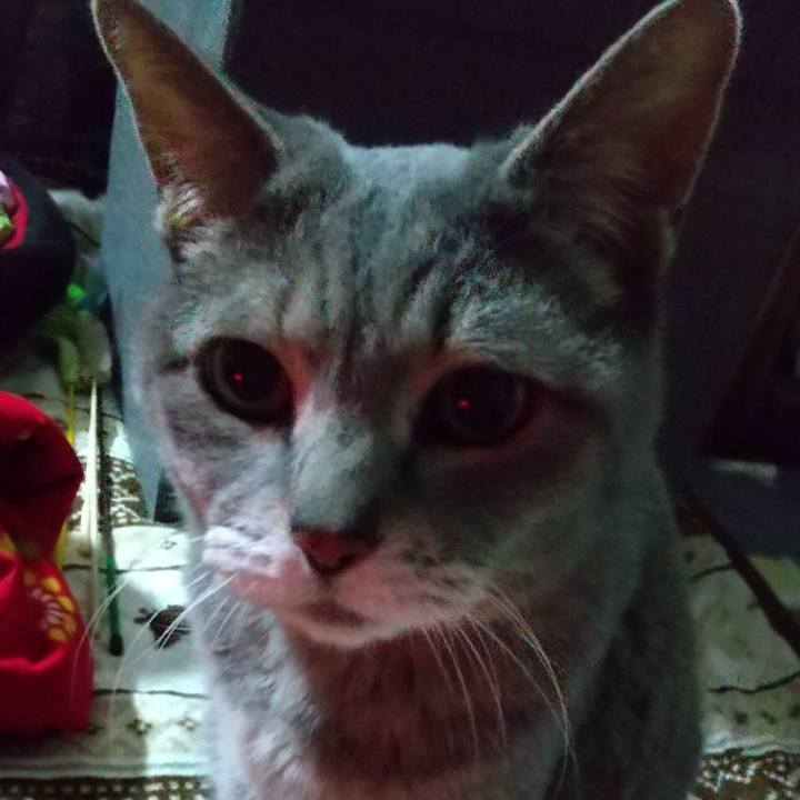 3d1ff81a 7ff3 4285 923e c3099be3400a 1679434749421