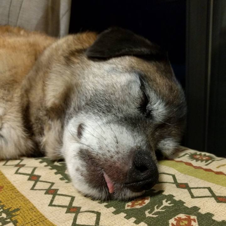 3d1ffdb2 0118 4906 9cac 888c4cb61617 1527519786891