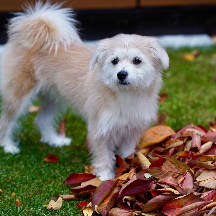 3d200870 d69b 48fc be24 df929c045a92 1763119290458