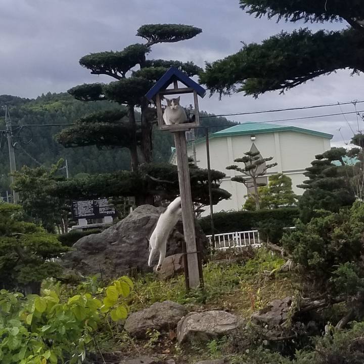 3d201298 e90e 419e bae5 cae1d64a9bf5 1568961081171