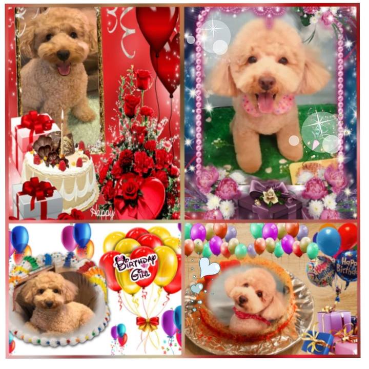 3d2035b4 9dfd 4f15 aaeb 95b81eb148f9 1538054992635