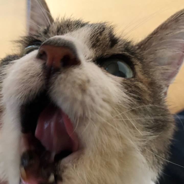 3d2040ed 50a5 4639 a507 879873804734 1583018891697