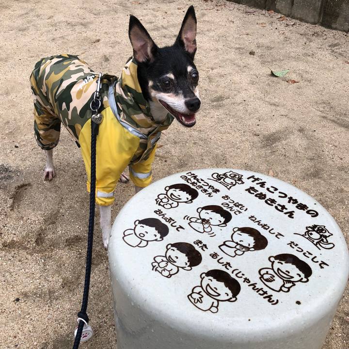 3d204d00 8e26 4358 ab8c fad4496a8d0a 1534373317672