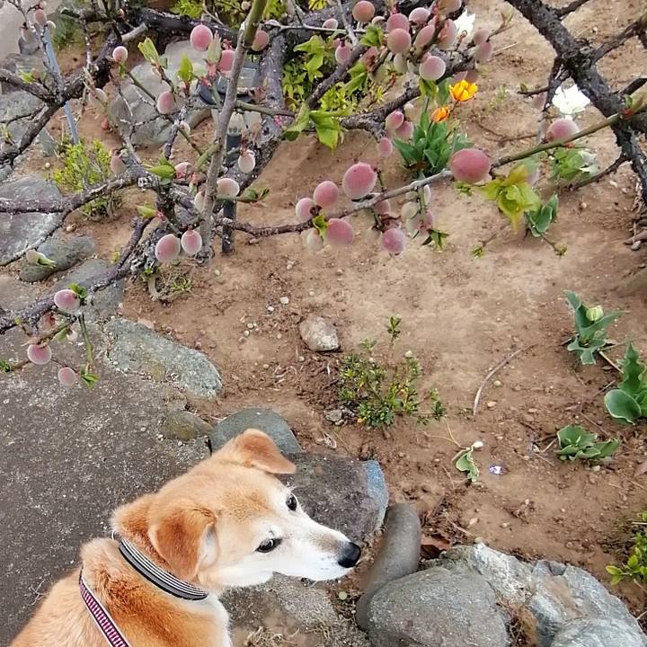 3d204f57 a29d 4bff 885d b32dcafda587 1586491215066