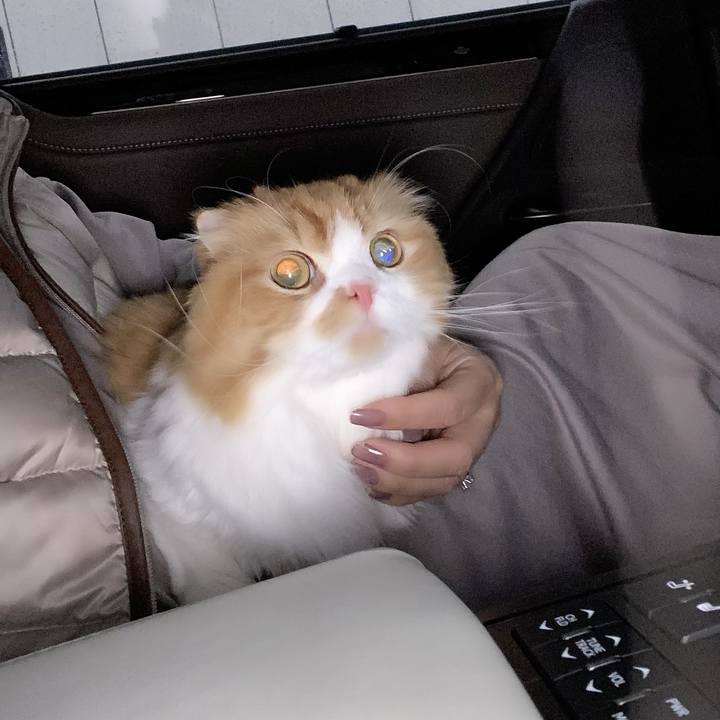 3d205452 e63d 4d12 aee4 e25782a77c3e 1604320688657