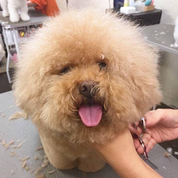 3d205b35 d2fb 4479 9126 1f9d62845f76 1564455542004