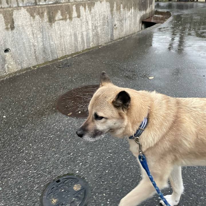 3d206134 1fee 4ef8 b3c8 aab65c92b3d3 1647607787949