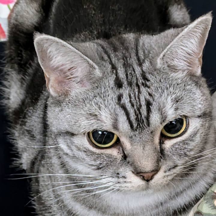 3d2071f9 d128 4497 885b dc881d75fae0 1731201074813