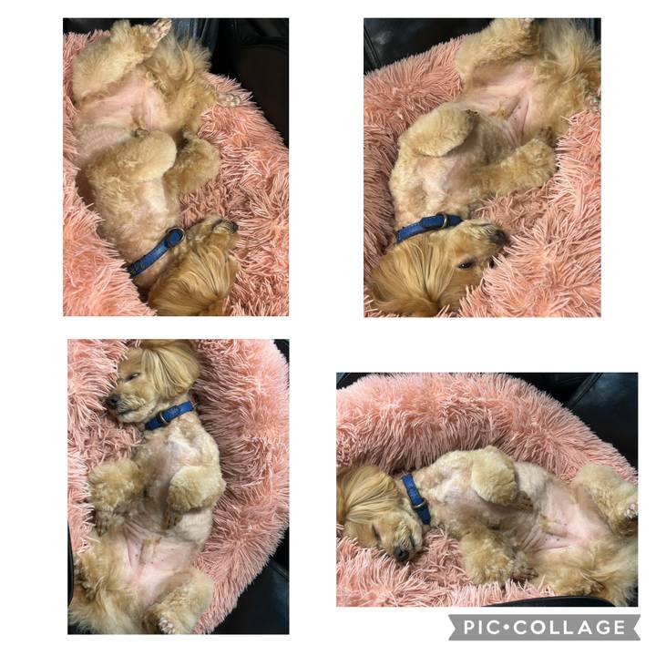 3d208698 03a4 43b5 9982 26e1390744ba 1746856731028