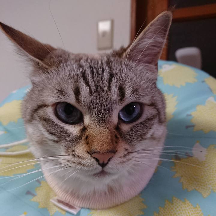 3d20bbd2 3a7a 4b55 a063 df3fe0ff87c5 1594042362787