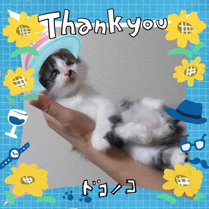 3d20f037 5637 4000 ac1d 39eef5cde9ff 1718546919389