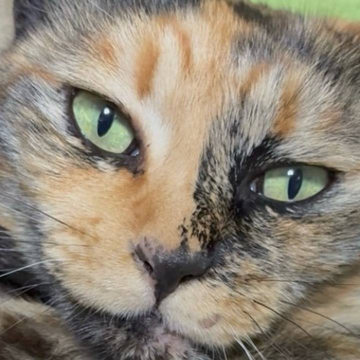 3d20f8cd d49b 4d7d 80dc 3d269fe54889 1746870748280