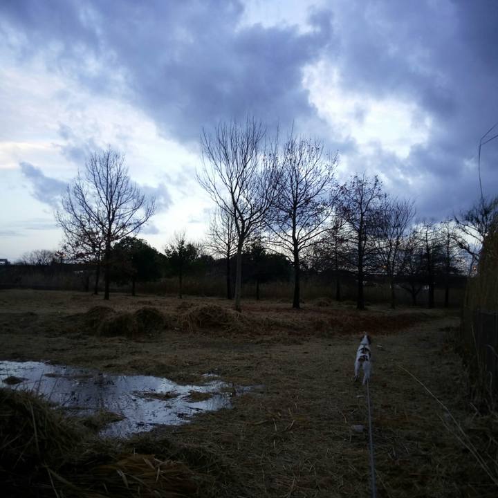 3d20fe4d ea66 40dd a468 ac7f97e09e6f 1515456811791