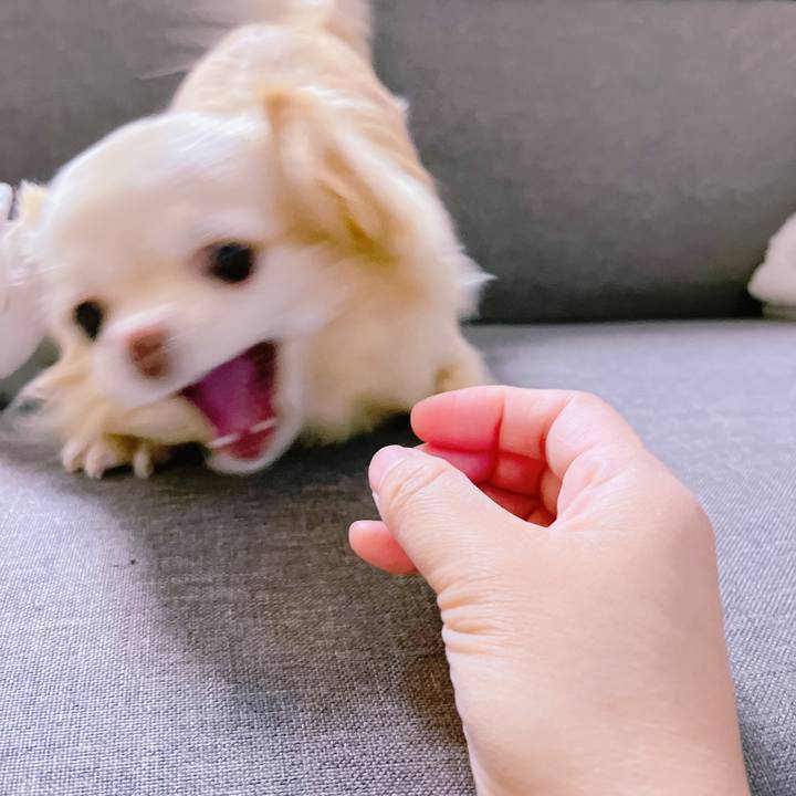 3d212eef 6d40 4897 9afa e2556bee3a1b 1650360125051