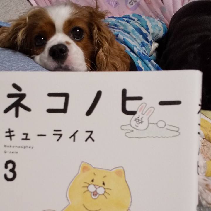 3d2159c6 82cb 4599 bd4f a3ef3e158f13 1596276305418