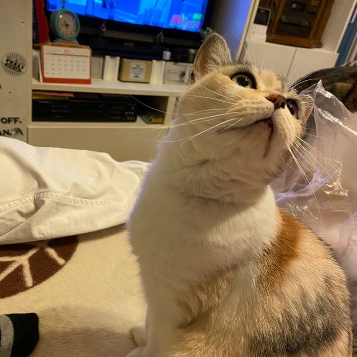 3d216f2d e62f 4853 b126 f6022134a264 1577025000443