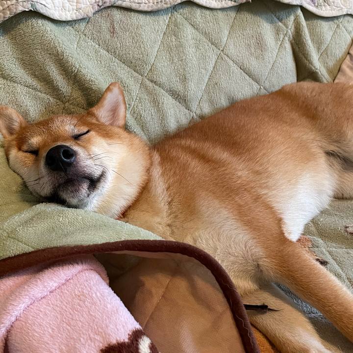 3d218bf1 c0e8 4f7c a7ef 51d141cbe16e 1725364010840