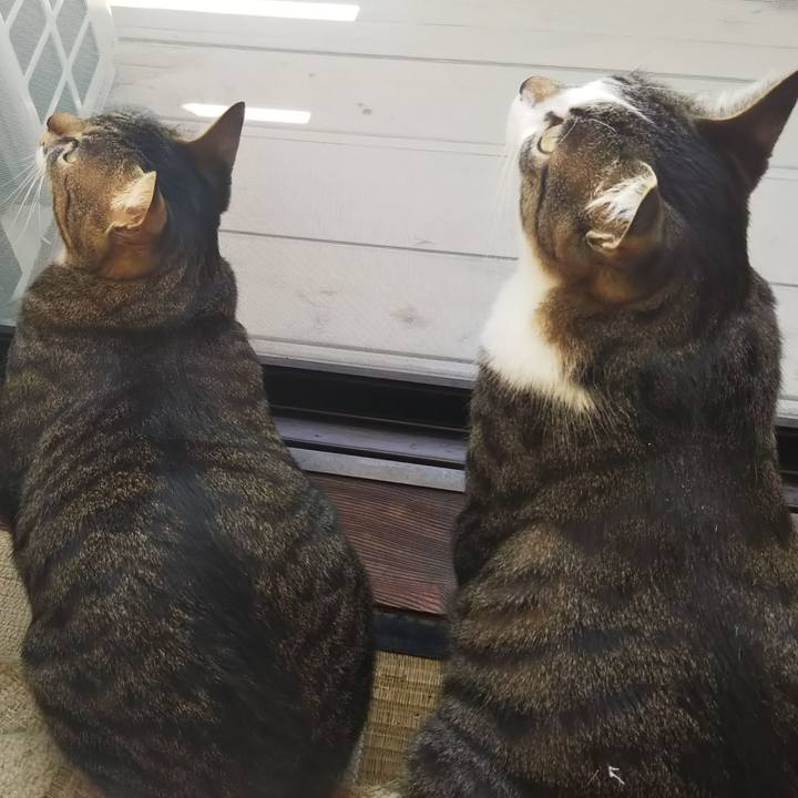 3d21c307 0839 41df b4c0 a75bb21ba875 1610119098510