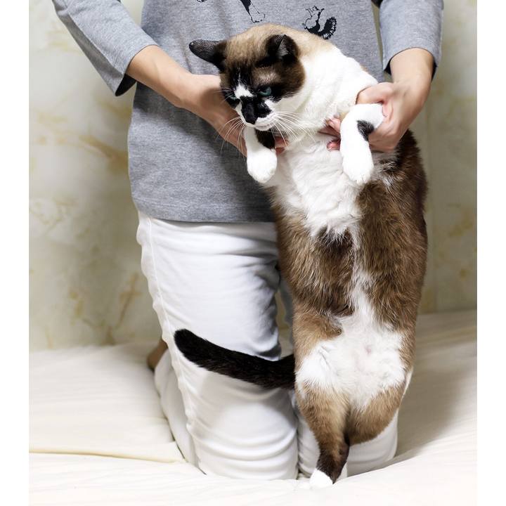 3d21c84a 095a 4516 a537 fc88b9f17dab 1564754681103