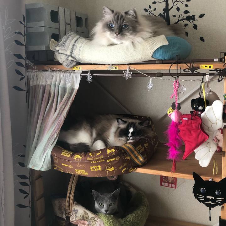 3d21c95c cbe5 4601 a428 aaafaa5bc60a 1546751933801