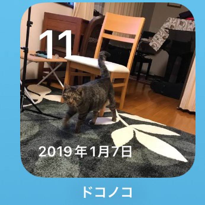 3d21da97 b92e 4868 8714 11789cb1d8bc 1768094167881