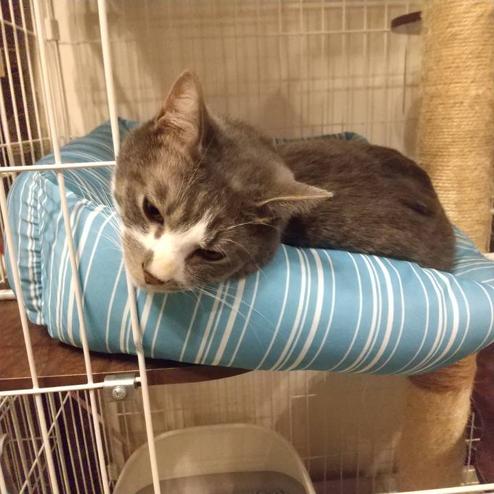 3d21dd80 5400 4bd7 a989 03387856161d 1611060286781