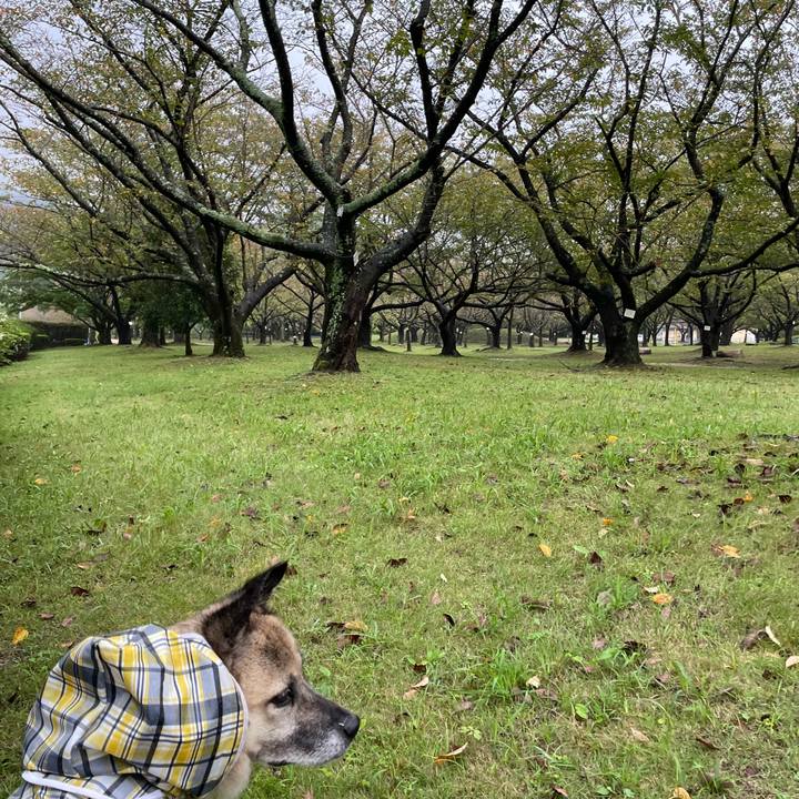 3d21e9c8 12ff 4cf0 b2d2 0984fa5323fa 1729332526286