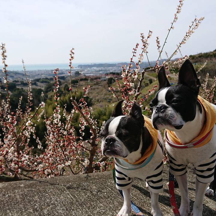 3d21ef9d 7c11 408c 91c6 6285be2a2ff3 1519980615558