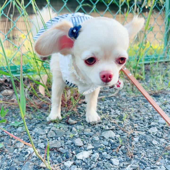 3d220583 6d17 4a41 be29 461e3f50098d 1684933888364