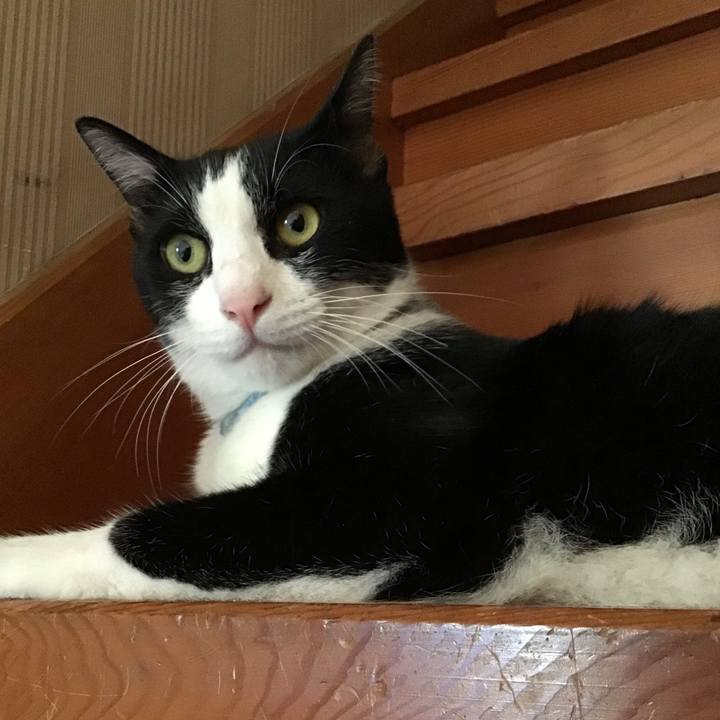 3d22118e 7ee3 464b aae0 509f0c3f88e4 1660820618907