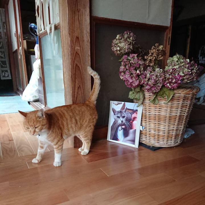 3d224e4e b2de 42c9 8384 31ac30f9257b 1605936361658