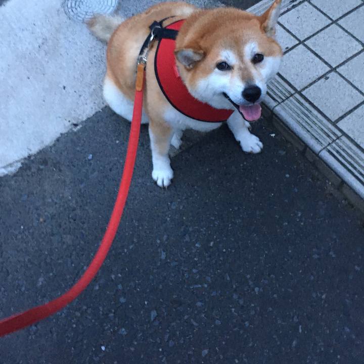 3d22518e 2acb 45f2 a964 c52c7bd77c6a 1600334826912