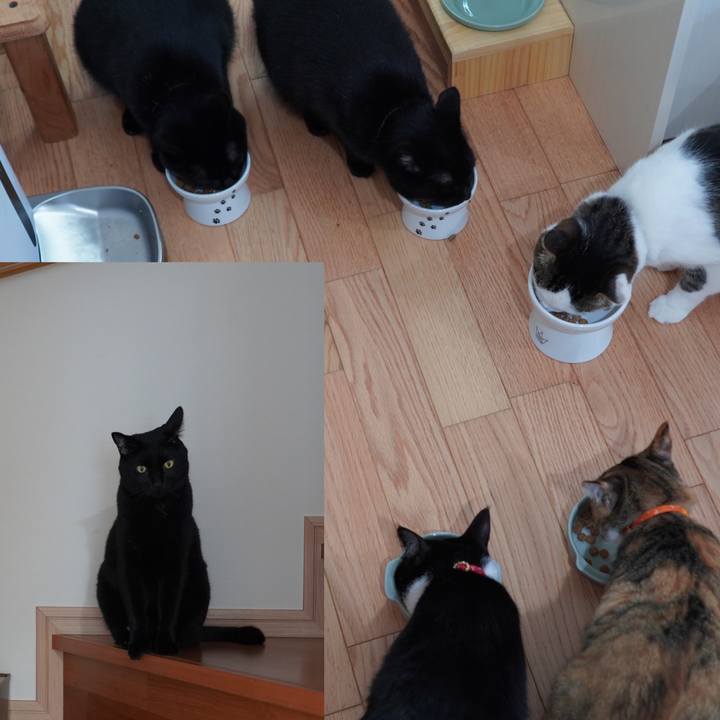 3d22657d 53d5 4e3a b70b 18fee1091e0d 1593525511991