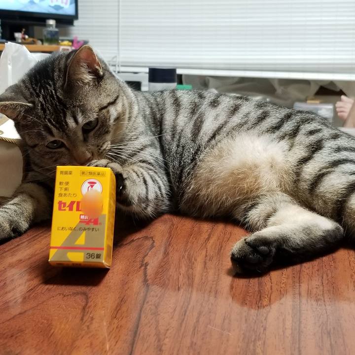 3d228b2b 62df 4126 b221 dd28627a4408 1688909549229