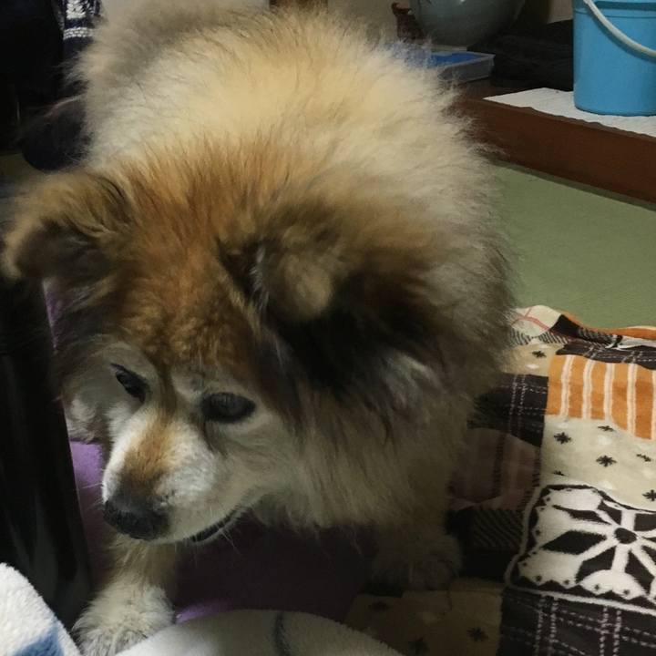 3d22d1c4 d74d 49c0 80e8 1313286672d3 1613018563216