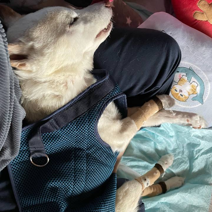 3d22d695 b1a9 4d39 96bf b78e2ffa148e 1680765971739