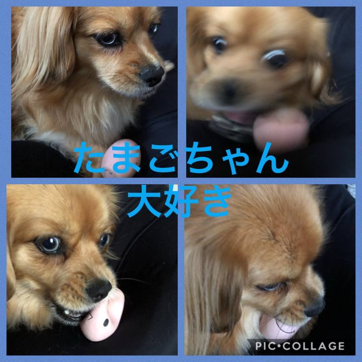 3d22d9bb f2ad 44aa be6c eb2e282cbce3 1557825691360