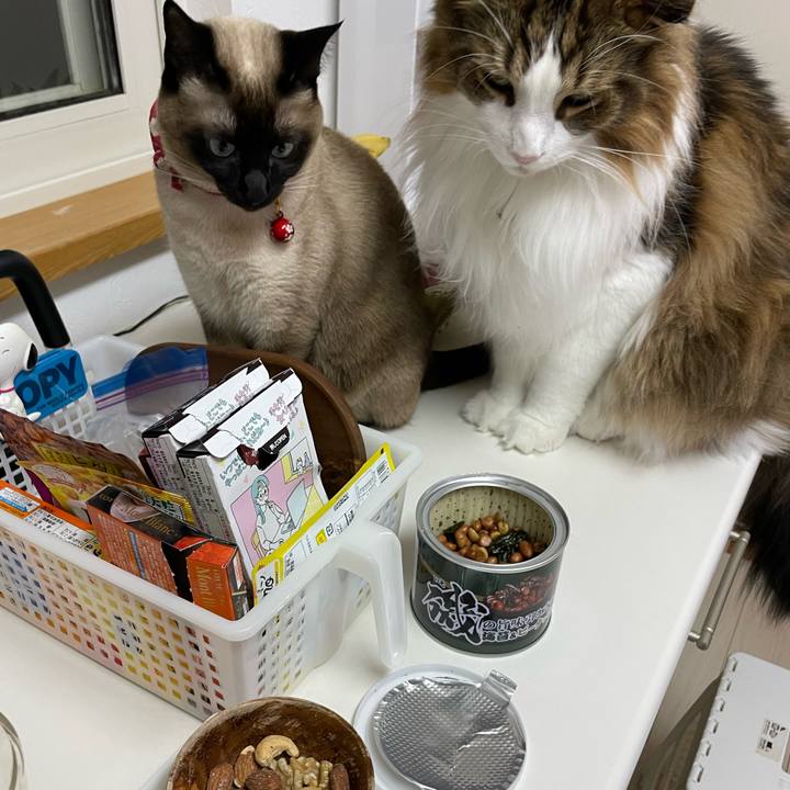 3d22e00b 576a 43d6 9584 bb664fef7cd6 1739609379371