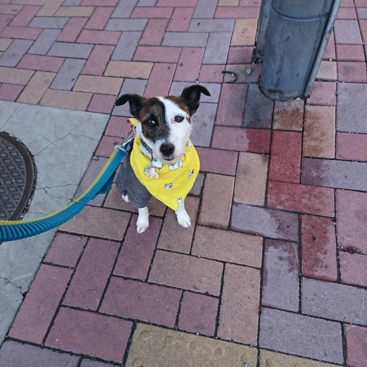 3d234fad e3c9 48f4 a699 13e76b4c6073 1516488499681