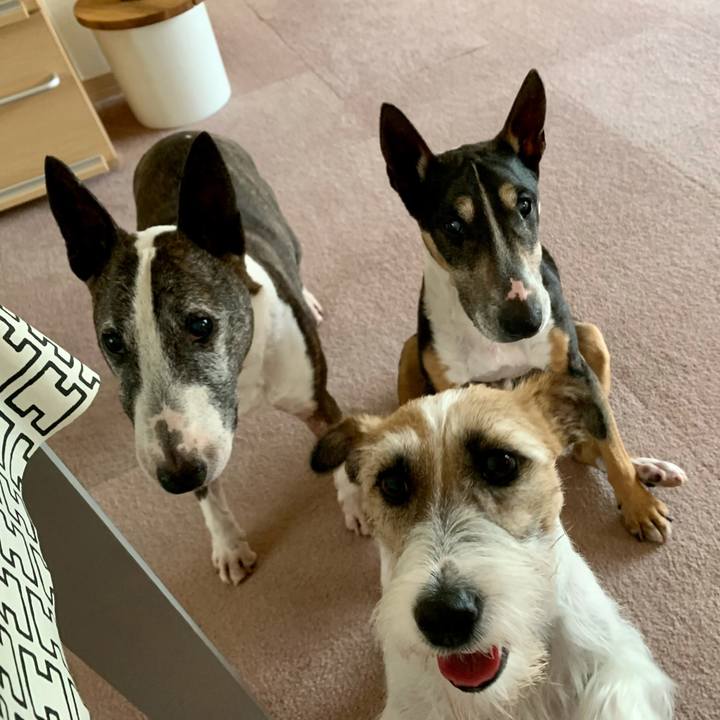 3d239103 2930 4ecc b476 fe0210d4447c 1624528014240