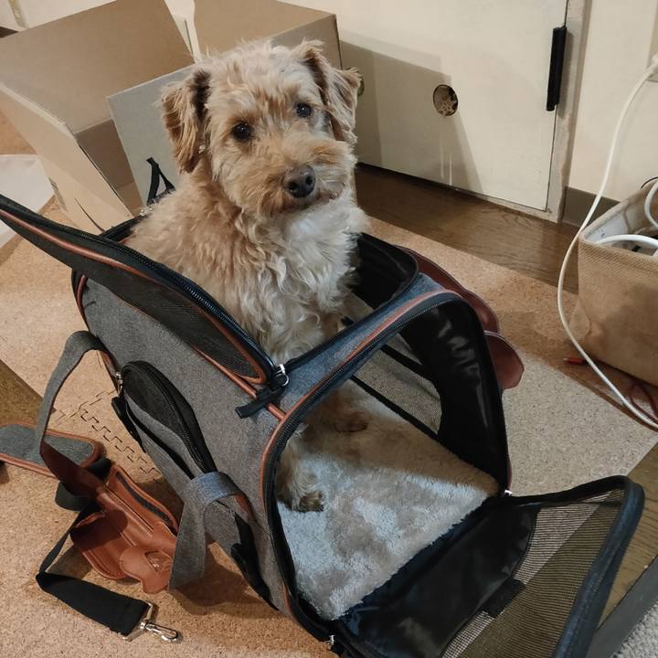 3d23c782 c385 47d8 9343 b767f189544c 1586687634178